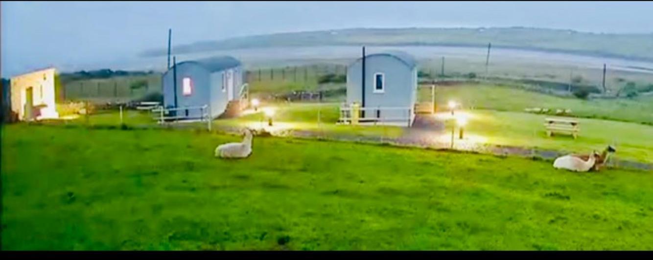 The Snuggly Sheep Shepherd Hut Farm Stay Ballyshannon Buitenkant foto